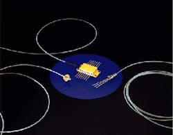 Th Lfw27941 34 Th Lfw27941 34