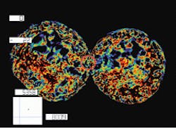 Using optical-trapping instruments, biologists can isolate and trap plant protoplasts and then fuse them together to create new varieties of plants and flowers that are more insect- and drought-resistant and fruits and vegetables that have longer shelf lives. Using optical-trapping instruments, biologists can isolate and trap plant protoplasts and then fuse them together to create new varieties of plants and flowers that are more insect- and drought-resistant and fruits and vegetables that have longer shelf lives.