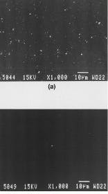 FIGURE 2. Conventional pulsed laser deposition using excimer-laser ablation results in a thin film with micrometer and submicrometer-sized particles. Dual laser ablation using both CO2 and excimer lasers results in a very uniform film with almost no micrometer-sized particles. FIGURE 2. Conventional pulsed laser deposition using excimer-laser ablation results in a thin film with micrometer and submicrometer-sized particles. Dual laser ablation using both CO2 and excimer lasers results in a very uniform film with almost no micrometer-sized particles.