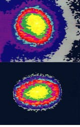 Th Lfw28104 34 Th Lfw28104 34