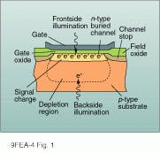 FIGURE 1. Charge is collected through the back surface of thinned, back-illuminated CCD, avoiding loss through polysilicon gate electrodes. FIGURE 1. Charge is collected through the back surface of thinned, back-illuminated CCD, avoiding loss through polysilicon gate electrodes.