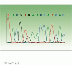 Th Lfw28268 29 Th Lfw28268 29