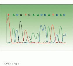 Th Lfw28268 29 Th Lfw28268 29