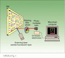 Th Lfw28268 30 Th Lfw28268 30