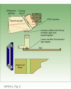 Th Lfw28268 31 Th Lfw28268 31