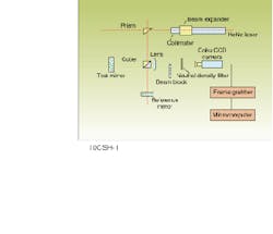 Th Lfw28319 24 Th Lfw28319 24