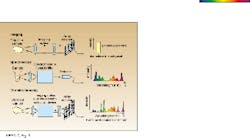 Th Lfw28320 33 Th Lfw28320 33