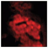 Th Lfw28320 38 Th Lfw28320 38