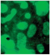 Th Lfw28320 53 Th Lfw28320 53