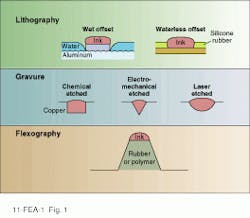 Th Lfw28334 36 Th Lfw28334 36