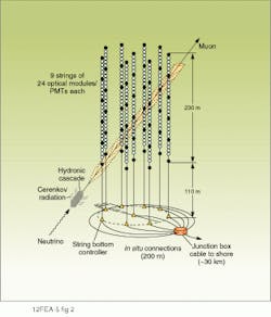 FIGURE 2. Photomultiplier tubes inside optical modules will be linked together in nine chains in a DUMAND detector assembly. Each chain consists of 24 PMT/modules (open circles) plus five hydrophones and a transducer (dark circles) that determine the position of each string. Neutrinos will strike molecules of water and create Cerenkov radiation around 400-450 nm that will be monitored by the PMTs. FIGURE 2. Photomultiplier tubes inside optical modules will be linked together in nine chains in a DUMAND detector assembly. Each chain consists of 24 PMT/modules (open circles) plus five hydrophones and a transducer (dark circles) that determine the position of each string. Neutrinos will strike molecules of water and create Cerenkov radiation around 400-450 nm that will be monitored by the PMTs.