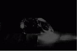 Th Lfw28453 4 Th Lfw28453 4