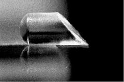 Th Lfw28453 5 Th Lfw28453 5