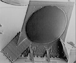 Th Lfw28677 41 Th Lfw28677 41