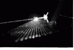 Th Lfw29008 39 Th Lfw29008 39