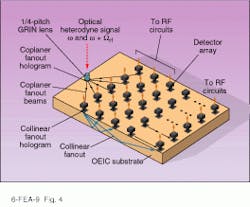 Th Lfw29008 43 Th Lfw29008 43