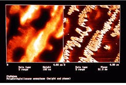 Th Lfw29201 16 Th Lfw29201 16