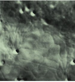 Th Lfw29643 23 Th Lfw29643 23