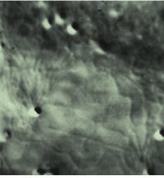 Th Lfw29643 23 Th Lfw29643 23