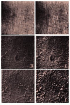 Th Lfw29643 24 Th Lfw29643 24