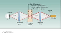 Th Lfw29995 43 Th Lfw29995 43