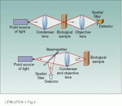 Th Lfw29995 44 Th Lfw29995 44