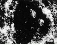 Th Lfw29995 48 Th Lfw29995 48