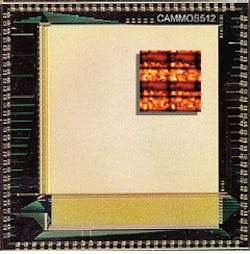 Th Lfw29996 4 Th Lfw29996 4