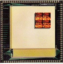 Th Lfw29996 4 Th Lfw29996 4