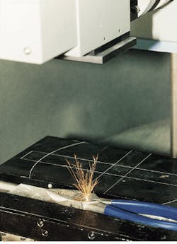 Th Lfw29998 34 Th Lfw29998 34