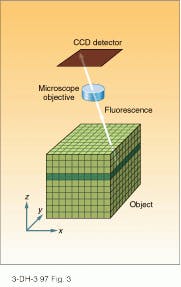 Th Lfw30231 29 Th Lfw30231 29