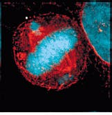 Th Lfw30231 30 Th Lfw30231 30