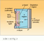 Th Lfw30233 48 Th Lfw30233 48