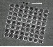 Th Lfw30612 9 Th Lfw30612 9