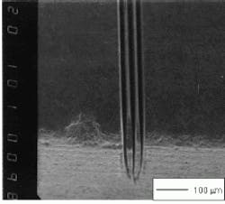 Th Lfw30816 51 Th Lfw30816 51