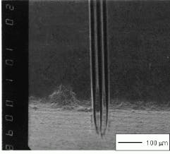 Th Lfw30816 51 Th Lfw30816 51