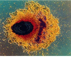 Th Lfw30927 27 Th Lfw30927 27