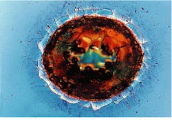 Th Lfw30927 28 Th Lfw30927 28