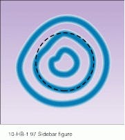 Th Lfw31043 20 Th Lfw31043 20