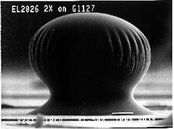 The size of the mushroom microlens is shown. The size of the mushroom microlens is shown.