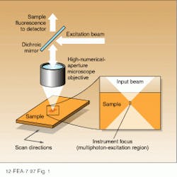 FIGURE 1. In an epi-illuminated microscope, the excitation beam and fluorescence signal are focused using a single objective. A dichroic mirror separates the sample fluorescence from the input beam. By using a high-numerical-aperture objective, multiphoton excitation is localized to a small region at the focus of the instrument. FIGURE 1. In an epi-illuminated microscope, the excitation beam and fluorescence signal are focused using a single objective. A dichroic mirror separates the sample fluorescence from the input beam. By using a high-numerical-aperture objective, multiphoton excitation is localized to a small region at the focus of the instrument.