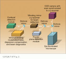 FIGURE 3. Multiphoton excitation is compatible with a number of detection techniques. In this instrument, a single excitation source and microscope are use with three detection schemes. A two-dimensional image is produced by scanning the input beam with a pair of vibrating mirrors. FIGURE 3. Multiphoton excitation is compatible with a number of detection techniques. In this instrument, a single excitation source and microscope are use with three detection schemes. A two-dimensional image is produced by scanning the input beam with a pair of vibrating mirrors.