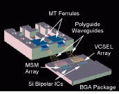 Th Lfw31300 44 Th Lfw31300 44