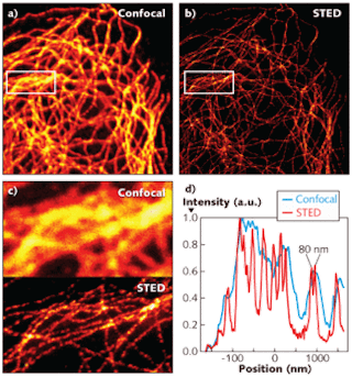 Imaging of a fluorescent-stained mammalian microtubular cell network shows better detail using the single-path STED microscope (b) than a conventional confocal microscope (a), especially evident in a close-up region (c) in which STED microscopy discerned individual fibers. The smallest distance between well-resolved features for the STED setup is 80 nm (d).