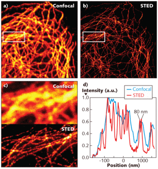 Imaging of a fluorescent-stained mammalian microtubular cell network shows better detail using the single-path STED microscope (b) than a conventional confocal microscope (a), especially evident in a close-up region (c) in which STED microscopy discerned individual fibers. The smallest distance between well-resolved features for the STED setup is 80 nm (d).