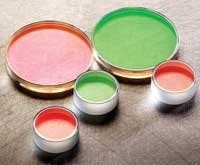 Th New P 05 Th New P 05