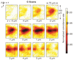 Two-dimensional (x-y) QOCT sections of an onion-skin sample were taken at different axial (z) depths. Two-dimensional (x-y) QOCT sections of an onion-skin sample were taken at different axial (z) depths.