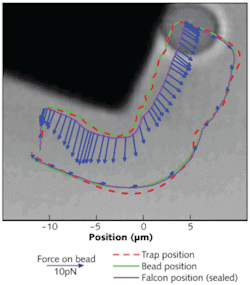 Imaging cameras enable an operator to feel the actual measured forces exerted on a bead in an optical trap as in interacts with a silicon cube. Imaging cameras enable an operator to feel the actual measured forces exerted on a bead in an optical trap as in interacts with a silicon cube.