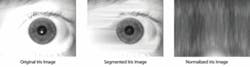 FIGURE 1. Iris on the Move technology from Sarnoff uses an array of 15 frames/s video cameras with 850 nm LED illumination to image the irises of individuals coming within 3 m of the system at a rate of 30 people per minute (top). The system first segments the iris (middle), then remaps the iris image from Cartesian coordinates to polar coordinates in a normalization process (bottom). In the normalized image, increasing radius goes from top to bottom, while increasing angle goes from left to right, allowing the formatted image to be matched against reference irises. FIGURE 1. Iris on the Move technology from Sarnoff uses an array of 15 frames/s video cameras with 850 nm LED illumination to image the irises of individuals coming within 3 m of the system at a rate of 30 people per minute (top). The system first segments the iris (middle), then remaps the iris image from Cartesian coordinates to polar coordinates in a normalization process (bottom). In the normalized image, increasing radius goes from top to bottom, while increasing angle goes from left to right, allowing the formatted image to be matched against reference irises.