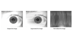 FIGURE 1. Iris on the Move technology from Sarnoff uses an array of 15 frames/s video cameras with 850 nm LED illumination to image the irises of individuals coming within 3 m of the system at a rate of 30 people per minute (top). The system first segments the iris (middle), then remaps the iris image from Cartesian coordinates to polar coordinates in a normalization process (bottom). In the normalized image, increasing radius goes from top to bottom, while increasing angle goes from left to right, allowing the formatted image to be matched against reference irises. FIGURE 1. Iris on the Move technology from Sarnoff uses an array of 15 frames/s video cameras with 850 nm LED illumination to image the irises of individuals coming within 3 m of the system at a rate of 30 people per minute (top). The system first segments the iris (middle), then remaps the iris image from Cartesian coordinates to polar coordinates in a normalization process (bottom). In the normalized image, increasing radius goes from top to bottom, while increasing angle goes from left to right, allowing the formatted image to be matched against reference irises.